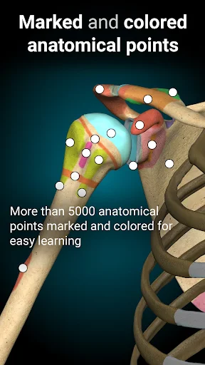 3 354