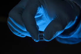 Hunger games simulator