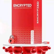 encrypted game